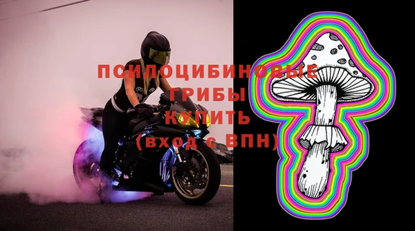 тгк Арсеньев