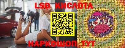 Альфа ПВП Аргун