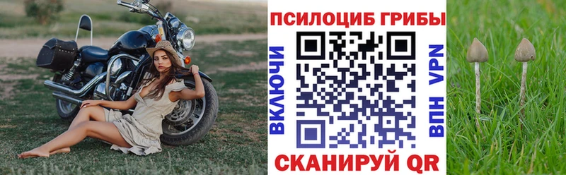 Купить закладки  Красноярск  Галлюциногенные грибы Psilocybe 