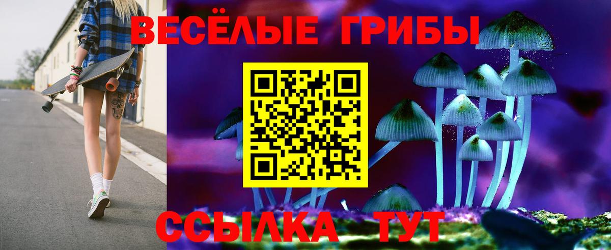 Галлюциногенные грибы GOLDEN TEACHER  Вход с VPN  Красноярск 