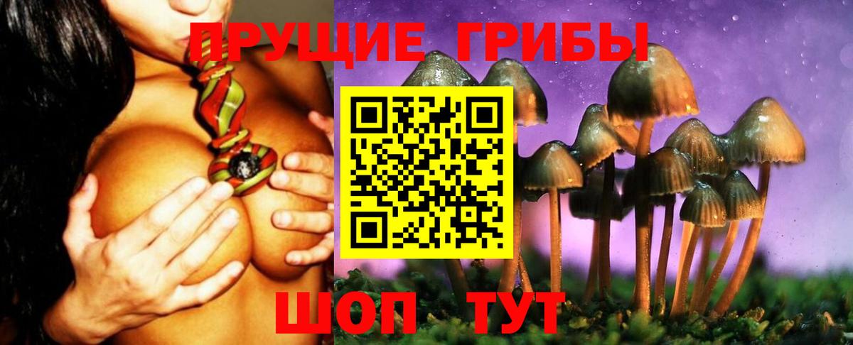 Галлюциногенные грибы прущие грибы Красноярск